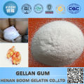 top sell gellan gum buy